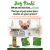 Dog Rocks Steine gegen Hunde-Urinflecken auf Rasen