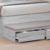vidaXL Bettschubladen Graues Sonoma 100 x 36,5 x 16,5 cm Holzwerkstoff