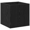Black_oak