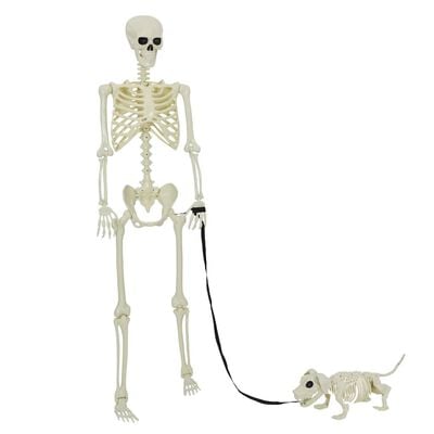 Halloween-Skelett-Set, 2 Stk., Weiß, 155 x 38,5 cm