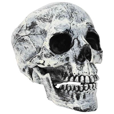 Halloween-Totenköpfe SPOOKA, 2 Stk., Weiß, 12 x 15 x 17,5 cm