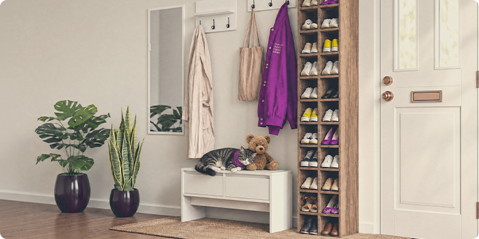 Katze ruht auf einer Aufbewahrungsbank neben einem Schuhorganizer im Flur.