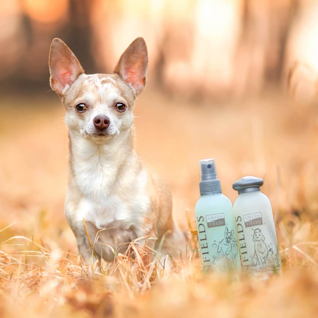 Greenfields Komplettpflege-Set Shampoo und Conditioner für Hunde 2x250 ml