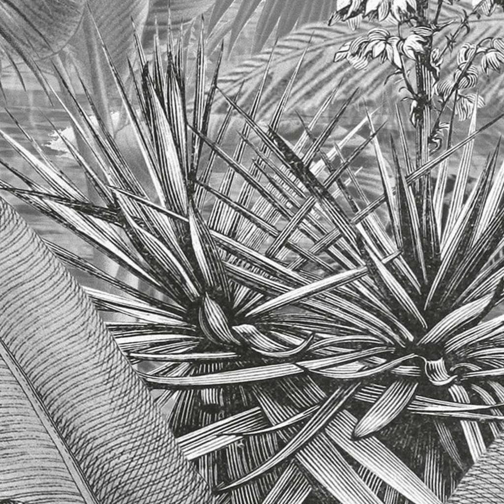 Komar Fototapete Amazonia Schwarz und Weiß 400x250 cm