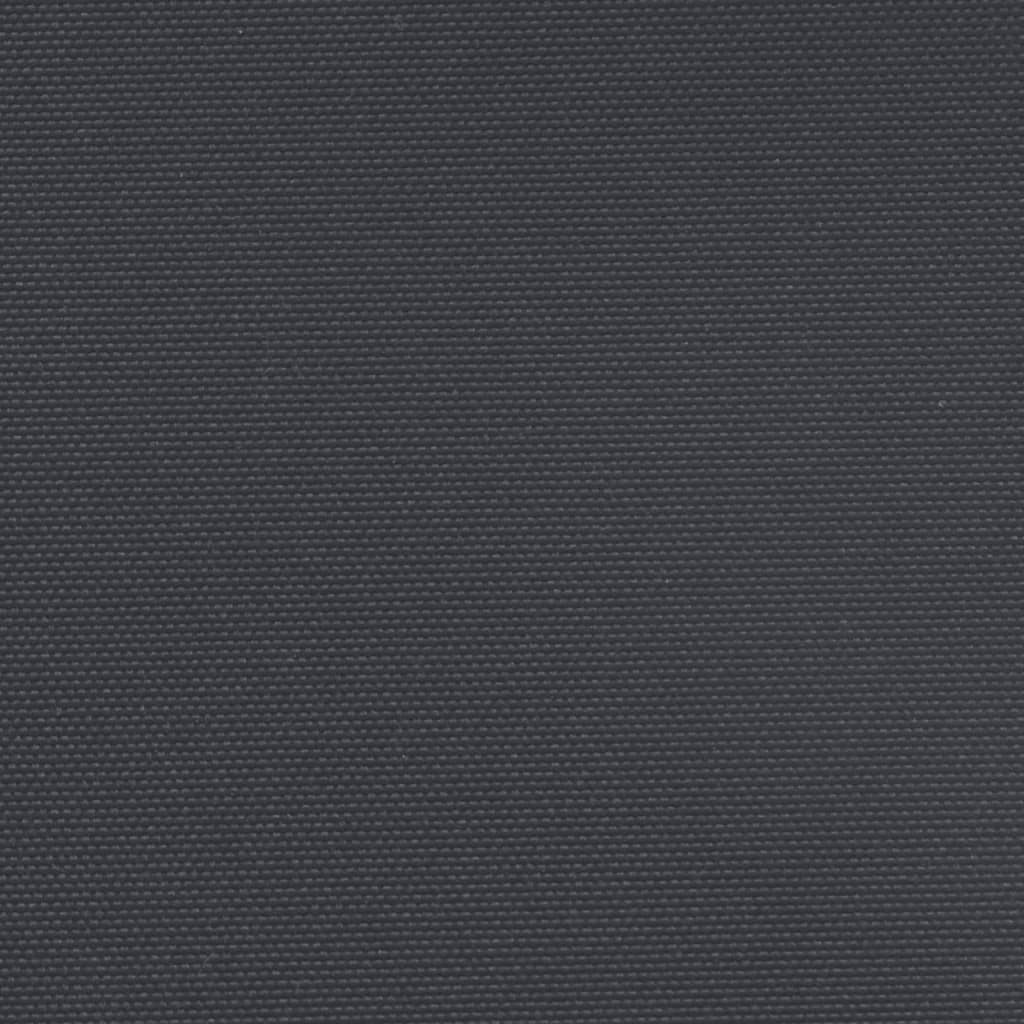 vidaXL Seitenmarkise Ausziehbar Schwarz 160x600 cm