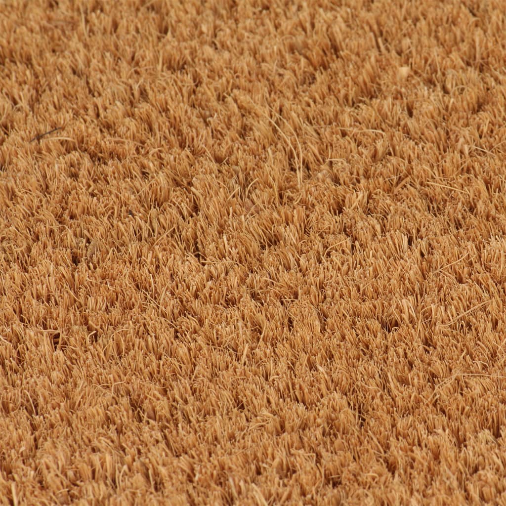 vidaXL Fußmatten 2 Stk. Natur 40x60 cm Kokosfaser Getuftet