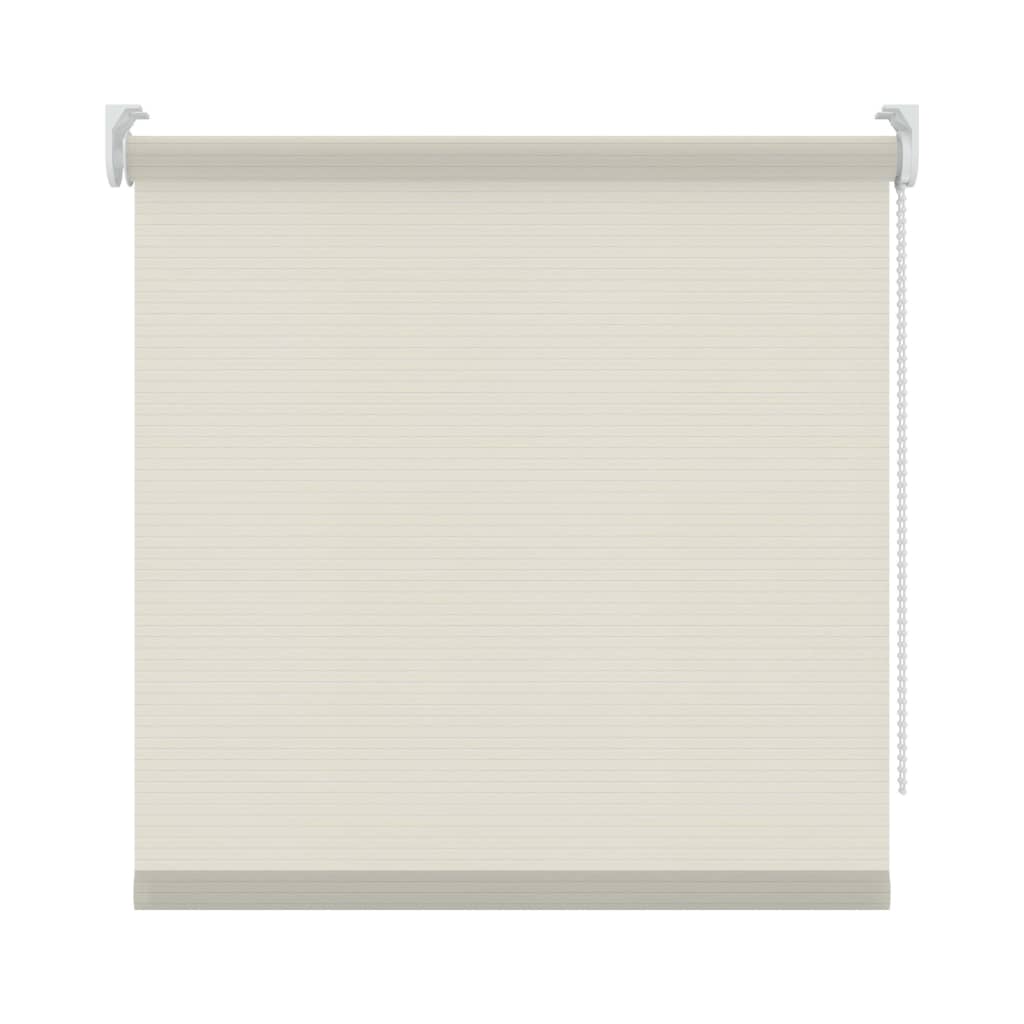 Decosol Rollos Lichtdurchlässig Weiß mit Muster 60 x 190 cm