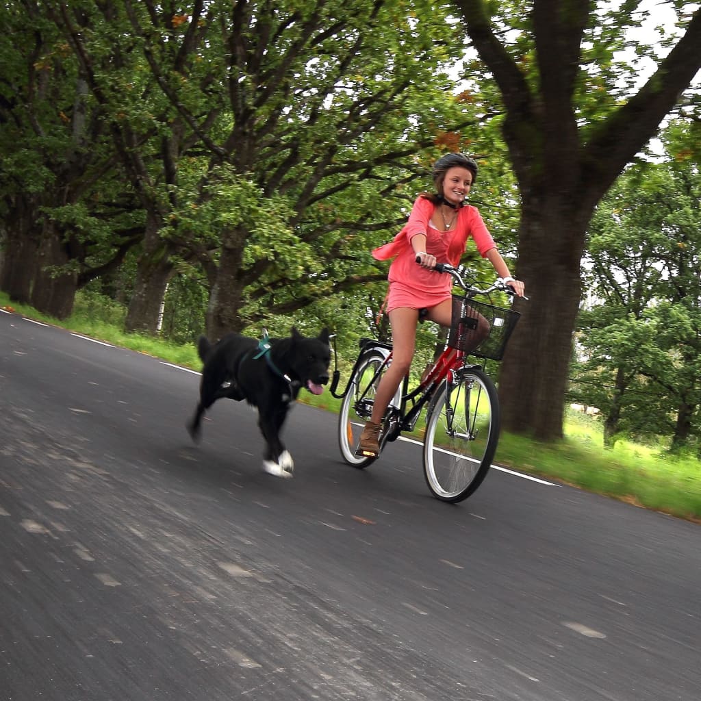 SPRINGER Fahrradhalter für Hunde