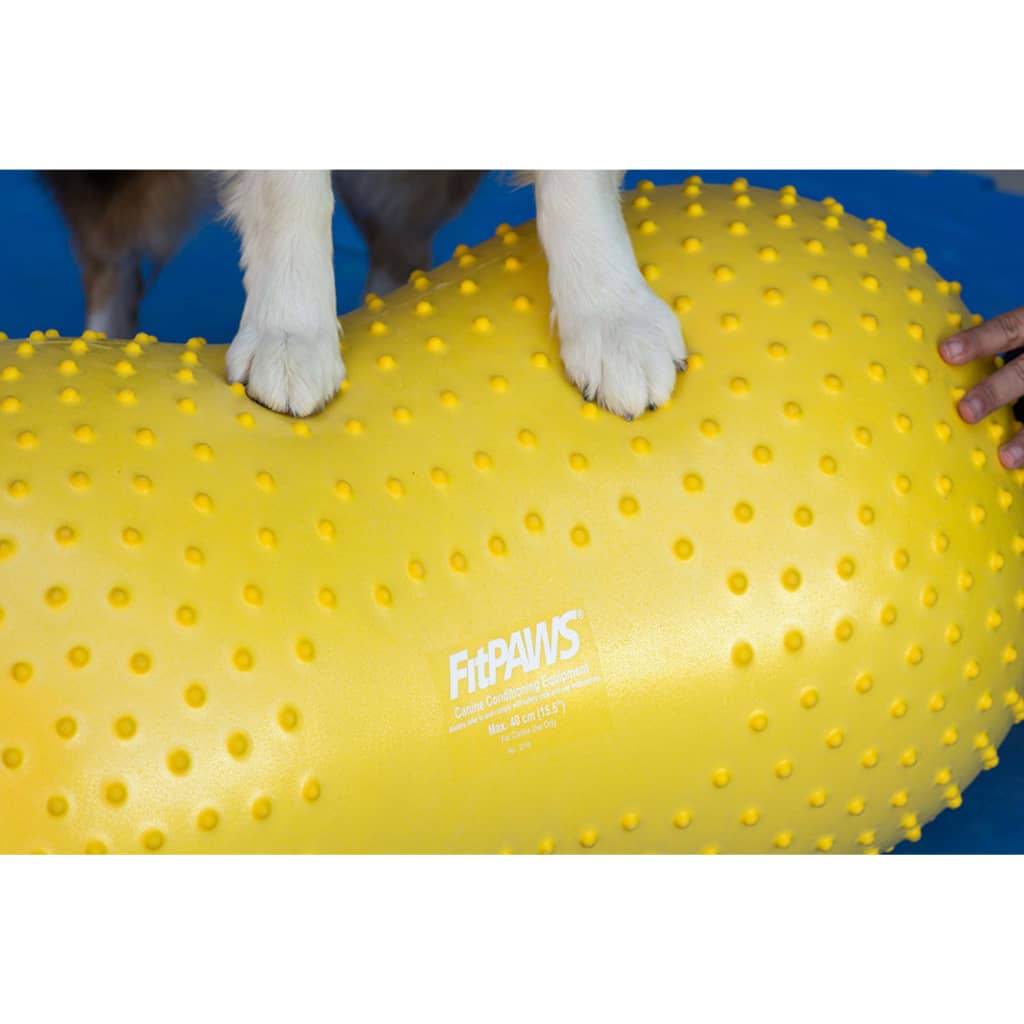 FitPAWS Balance-Kissen für Hunde Trax Peanut 40 cm Gelb