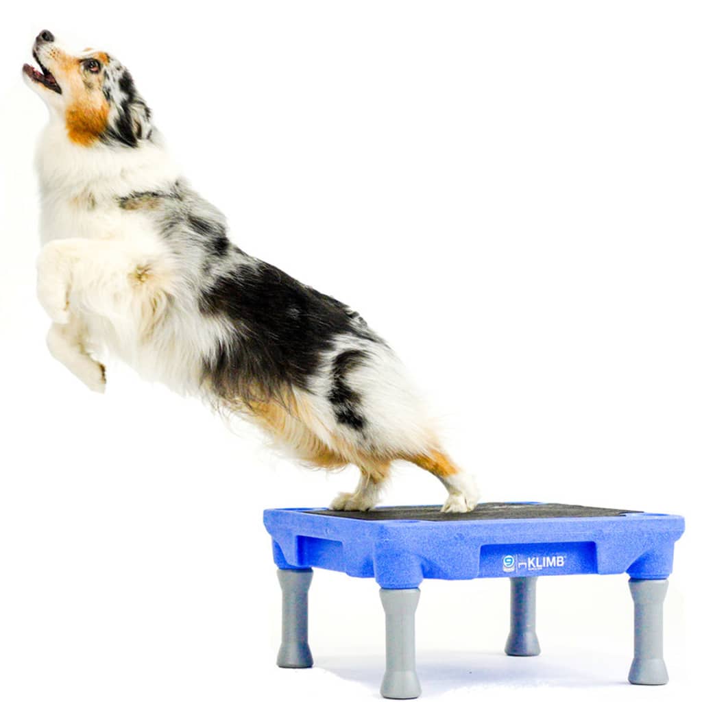 BLUE-9 Traktionsmatte für KLIMB Hundetraining-System
