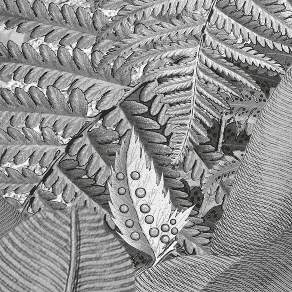 Komar Fototapete Amazonia Schwarz und Weiß 400x250 cm