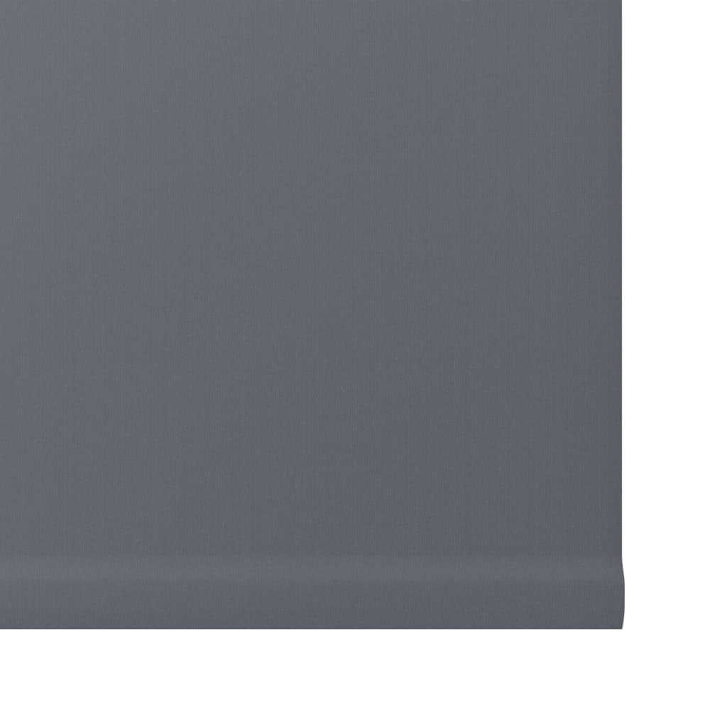 Decosol Mini Verdunkelungsrollo Anthrazit 42 x 160 cm