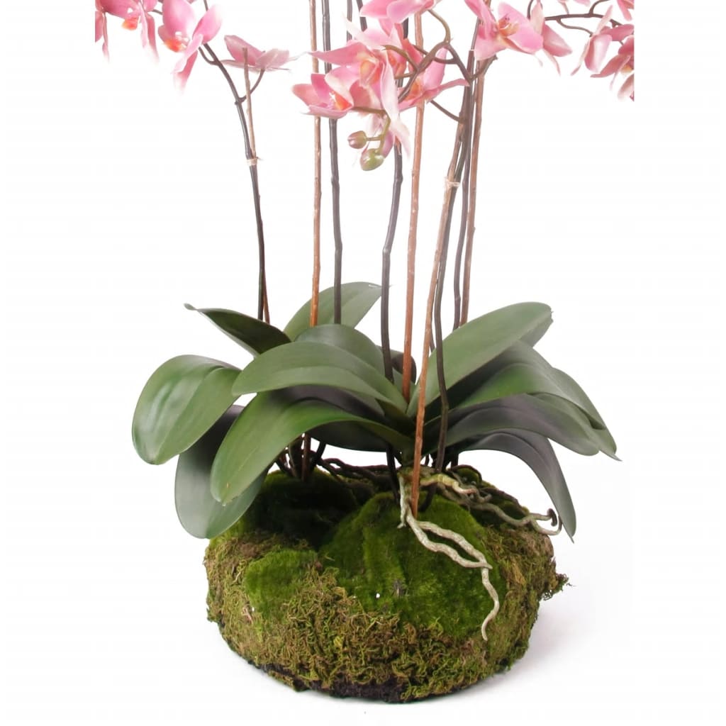 Emerald Kunstpflanze Phalaenopsis mit Moos Rosa 75 cm 417662