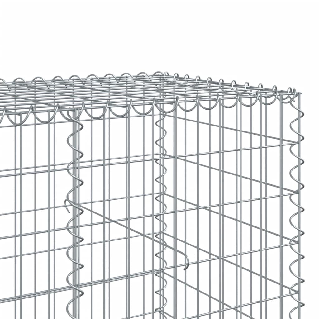 vidaXL Gabione mit Deckel 100x100x100 cm Verzinktes Eisen