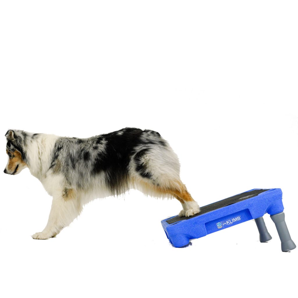 BLUE-9 Traktionsmatte für KLIMB Hundetraining-System